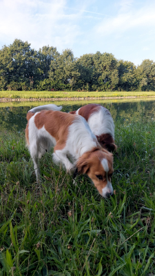 Letisha vom Torfmoorsee